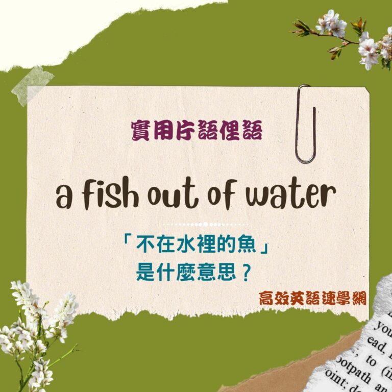 a fish out of water用法