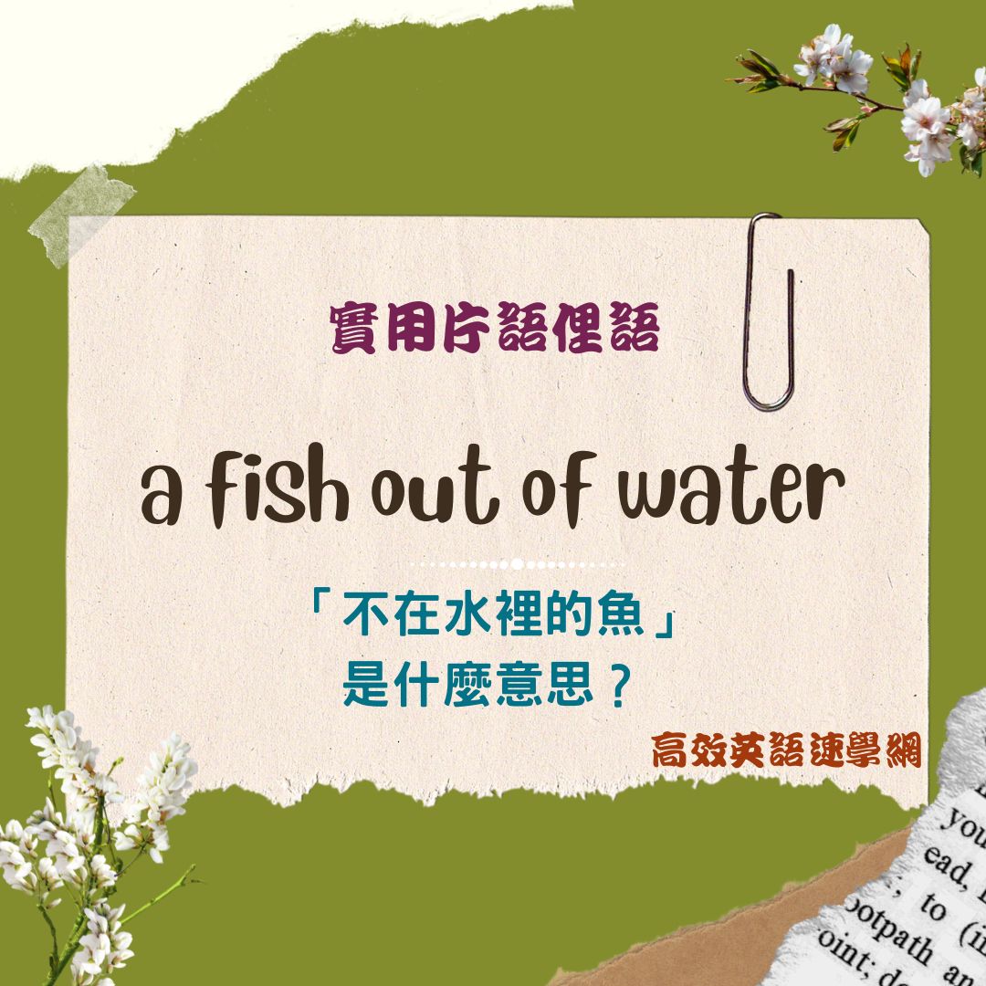 a fish out of water用法